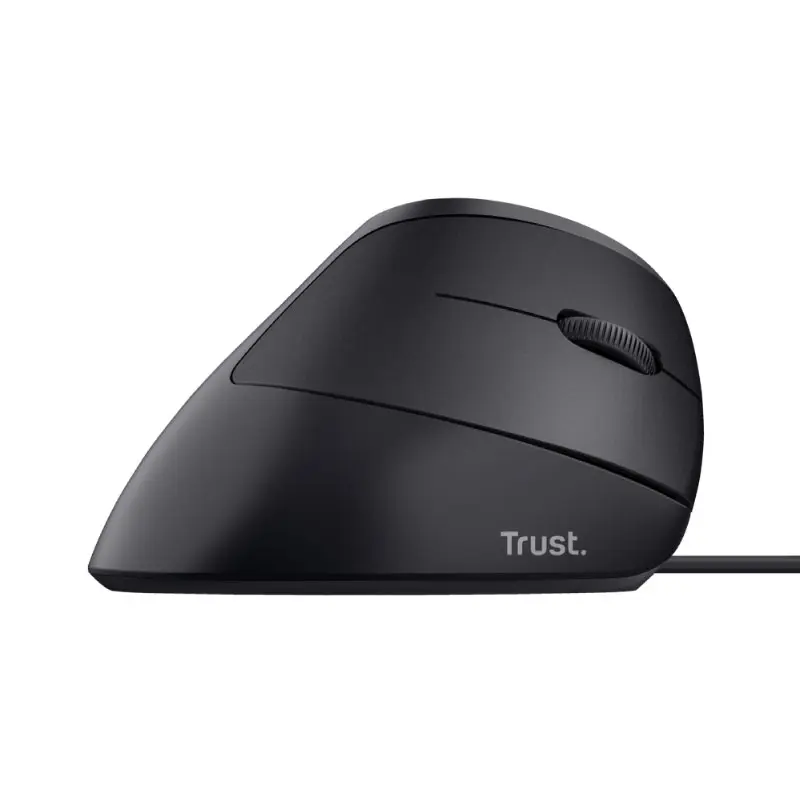 Mouse Vertical trust Bayo
